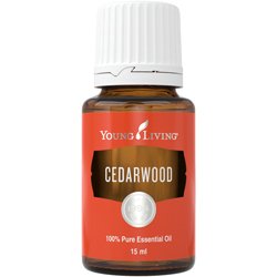 Cedarwood (Zeder) 15ml (Selbstvertrauen & Stärke)