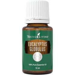 Eukalyptus globulus 15 ml (tief durchatmen)