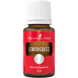 Lemongrass – Zitronengras 15 ml (erfrischt & berührt die Sinne)