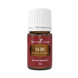 Teebaumöl 5ml (hautpflegend)